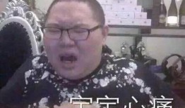 吃骚瓜减肥视频大全集免费观看,骚瓜减肥视频大全集，轻松瘦身秘诀大公开