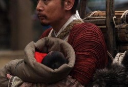 赵氏孤儿案全集在线观看,一场惊心动魄的复仇传奇