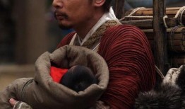 赵氏孤儿案全集在线观看,一场惊心动魄的复仇传奇