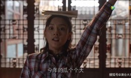 吃瓜还得看娱乐圈,吃瓜群众必备指南