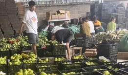 宁波生鲜快递最新爆料,揭秘行业变革背后的秘密