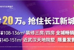 武汉热点新闻怎么爆料,揭秘背后真相
