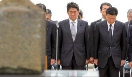 爆料日本首相视频播放大全,视频播放大全背后的真相与内幕