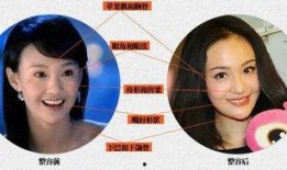 女明星整容被爆料视频,揭秘网红脸背后的秘密