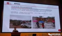 广西法制网爆料案件最新,重大案件细节曝光，疑云重重引关注