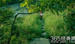 电影神灵寨在线观看,神秘探险，揭秘古老传说