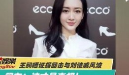 刘晶深夜哭爆料视频