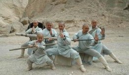 少林寺传奇在线观看,传奇再现，武林风华再起