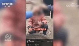 卖惨爆料视频大全最新,情感陷阱与网络舆论的较量