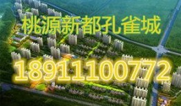 涿州房产爆料网最新消息,最新爆料揭示房价走势与热门项目