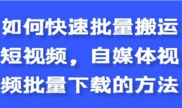 缅北高管爆料视频大全下载,视频大全背后的真相与内幕