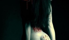 鬼诱免费在线观看,免费在线惊悚盛宴，揭秘神秘幽魂之谜