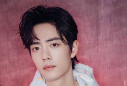 肖战今日爆料,今日爆料背后的故事与真相