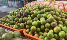 最新水果爆料,揭秘最新爆款水果榜单！”