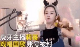 网红爆料洛哥视频,揭秘幕后故事与精彩瞬间