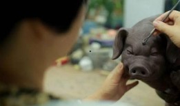 猪食记被爆料视频是真的吗,猪食记爆料视频真实性揭秘