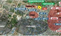 世纪大道爆料新闻,惊现神秘事件，真相即将揭晓！