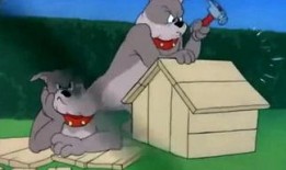 灰小羊视频爆料者是谁,是谁揭开神秘面纱？