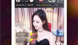 爆料翡翠直播话术大全视频,爆款视频背后的技巧解析