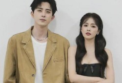 白鹿爆料消息最新,揭秘娱乐圈最新热点事件