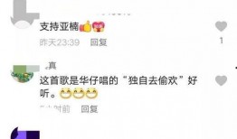 陈亚楠父亲爆料视频大全,揭秘事件背后真相