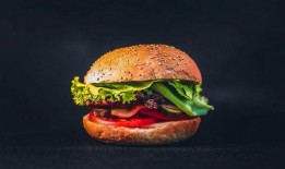 汉堡爆料视频大全最新