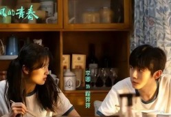 元媛前男友爆料的视频大全,真相与争议并存