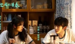 元媛前男友爆料的视频大全,真相与争议并存