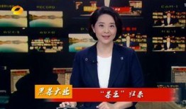 在线观看湖南卫视,精彩节目一网打尽