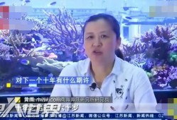 女科学家爆料晕船视频