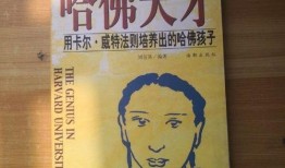 古董商故事视频爆料大全,视频爆料大全背后的传奇故事