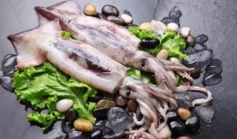 海鲜鱿鱼爆料视频播放,揭秘海洋美食背后的秘密
