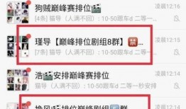 爆料寂然事件视频,揭秘背后真相与争议