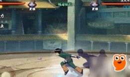 小李截拳技能爆料视频大全,视频大全深度解析