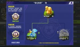 小李截拳技能爆料视频大全,视频大全深度解析