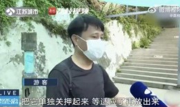 网红吃瓜徒弟是谁,背后的神秘人物竟是...